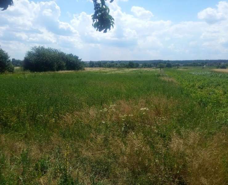 Продажа одноэтажный дом с 12 сотками земли улица Шевченко село Козинцы. Агентство недвижимости