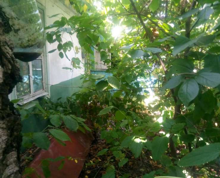 Продажа одноэтажный дом с 12 сотками земли улица Шевченко село Козинцы. Агентство недвижимости